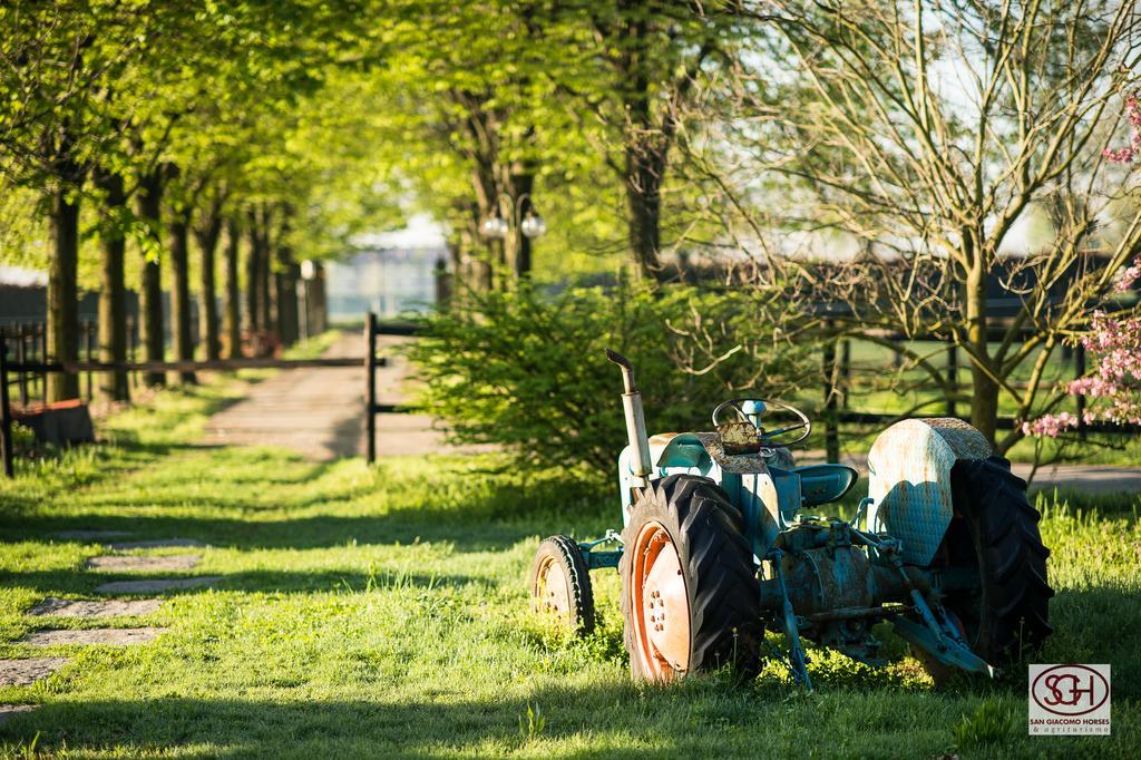 San Giacomo Horses & Agriturismo Arluno Zewnętrze zdjęcie
