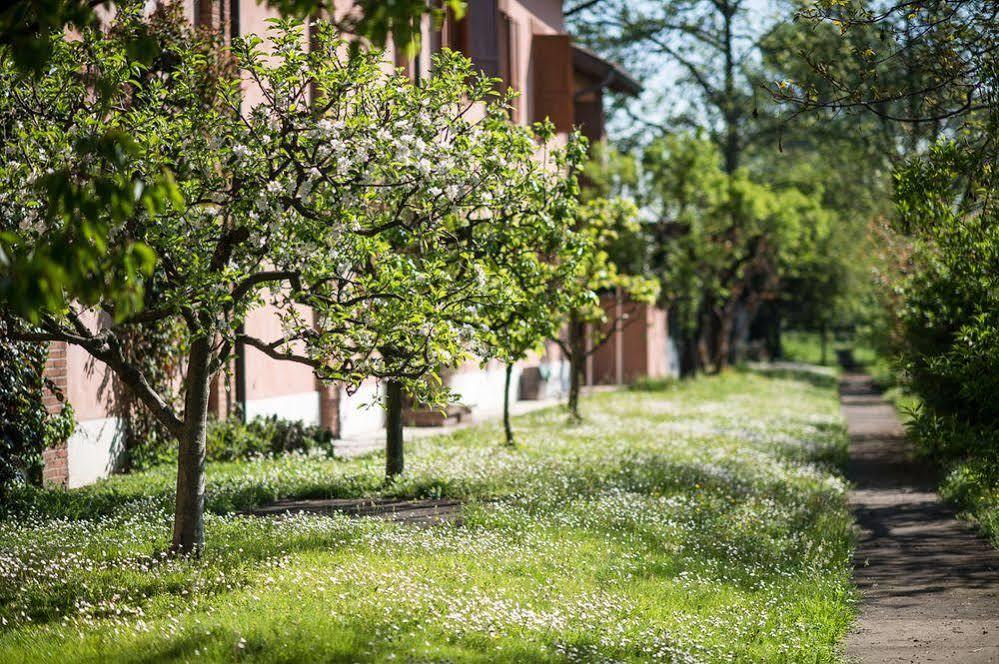 San Giacomo Horses & Agriturismo Arluno Zewnętrze zdjęcie