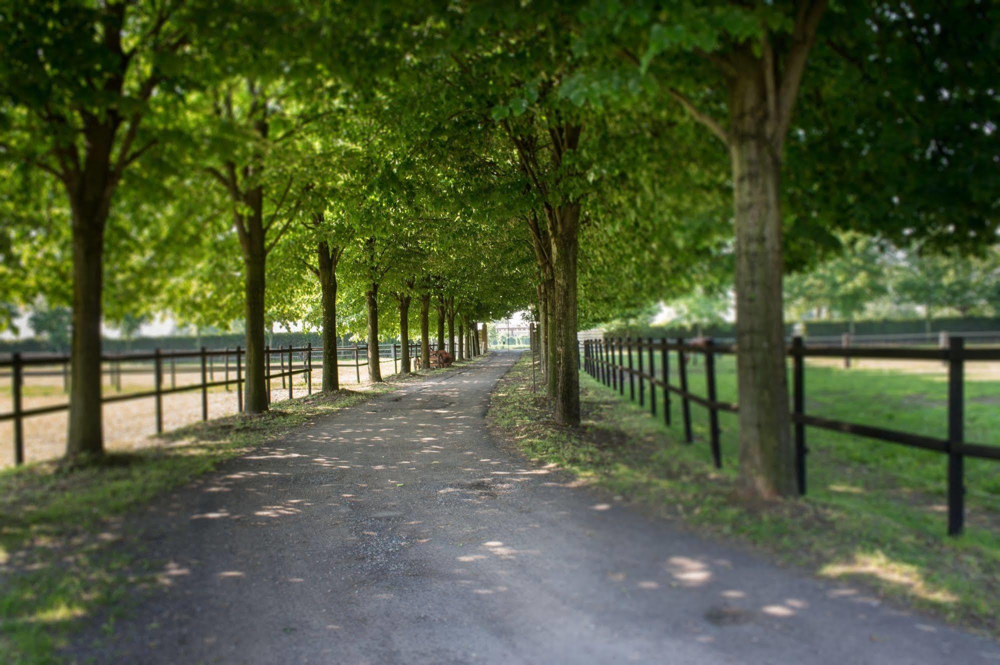 San Giacomo Horses & Agriturismo Arluno Zewnętrze zdjęcie